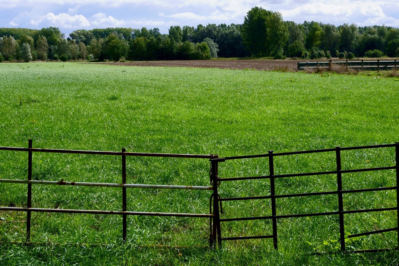 Hoe een geschikte schutting kiezen voor je tuin en waar je op moet letten